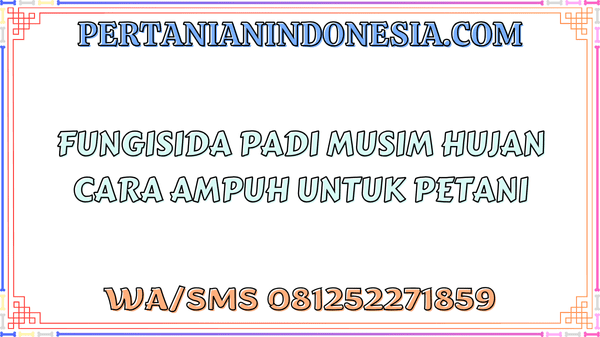 Fungisida Padi Musim Hujan Cara Ampuh Untuk Petani
